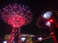 Rundreise Singapur & Malaysia, Singapur, Gardens By The Bay, Lichtershow