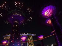 Rundreise Singapur & Malaysia, Singapur, Gardens By The Bay, Lichtershow