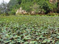 Rundreise Singapur & Malaysia, Kek Lok Tong Cave Temple, Garten