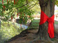 Rundreise Singapur & Malaysia, Kek Lok Tong Cave Temple, Garten