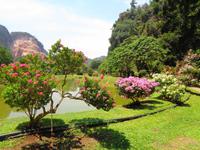 Rundreise Singapur & Malaysia, Kek Lok Tong Cave Temple, Garten