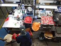 Rundreise Singapur & Malaysia, Zinnfabrik