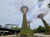 Singapur - Gardens by the Bay