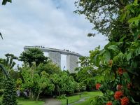 Singapur - Gardens by the Bay