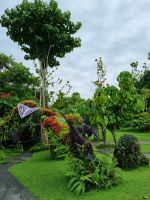 Singapur - Gardens by the Bay
