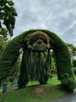 Singapur - Gardens by the Bay (