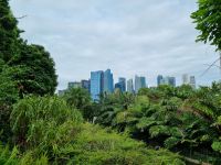 Singapur - Gardens by the Bay