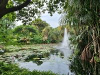Singapur - Gardens by the Bay