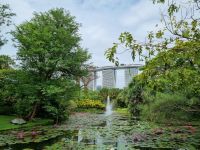Singapur - Gardens by the Bay