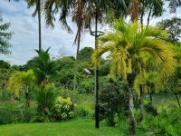 Singapur - Gardens by the Bay