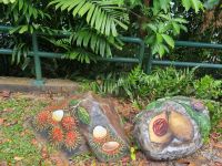 Singapur - Sentosa Island 