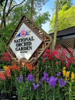 Singapur - Orchideengarten