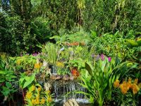 Singapur - Orchideengarten