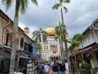Singapur - Arabisches Viertel (Masjid Sultan Moschee)