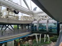 Singapur - Fahrt mit dem Singapore-Flyer...