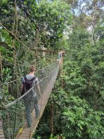 Taman Nagara - Baumwipfelpfad (Canopy Walkway)