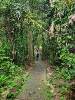 Taman Nagara - Wanderung zum Teresek Hill