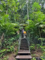 Taman Nagara - Wanderung zum Teresek Hill