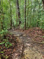 Taman Nagara - Wanderung zum Teresek Hill