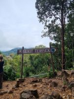 Taman Nagara - Wanderung zum Teresek Hill