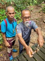 Taman Nagara - Wanderung zum Teresek Hill (unsere 2 Reiseführer)