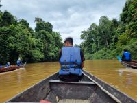 Taman Nagara - Bootsfahrt Lata Berkoh