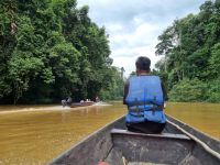 Taman Nagara - Bootsfahrt Lata Berkoh