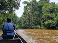 Taman Nagara - Bootsfahrt Lata Berkoh