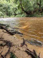 Taman Nagara - Wanderung Lata Berkoh