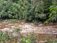 Taman Nagara - Wanderung Lata Berkoh