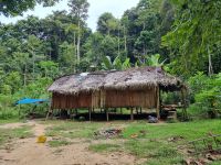 Taman Nagara - Besuch eines Orang Asli-Dorfes