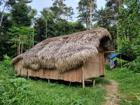Taman Nagara - Besuch eines Orang Asli-Dorfes