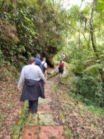 Wanderung in den Cameron Highlands 