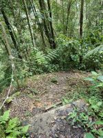Wanderung in den Cameron Highlands 