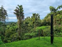 Cameron Highlands - Strawberry Park Resort-Hotel