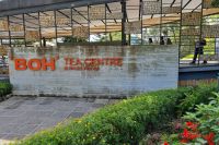 Cameron Highlands - BOH Teeplantage