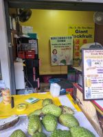 Insel Penang - Georgetown (auf den Spuren der traditionellen Handwerkskunst...)