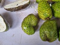 Insel Penang - Georgetown (auf den Spuren der traditionellen Handwerkskunst... - Guanabana-Frucht)