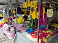 Insel Penang - Georgetown (auf den Spuren der traditionellen Handwerkskunst... - Chinesischer Tempelschmuck)