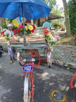 Insel Penang - Georgetown (Rikschafahrt)