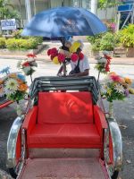 Insel Penang - Georgetown (Rikschafahrt)