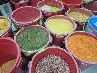 Insel Penang - Georgetown (Little India)