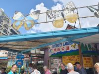 Cameron Highlands, Eingang Butterfly Park