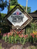 Singapur, Botanischer Garten 3