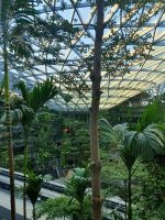 Singapur, Jewel Dome - Flughafen