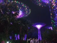 Singapur, Lichterloh Gardens by the Bay
