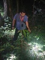 Taman Negara Nationalpark, Nachtwanderung im Dschungel, Guide Shafiq