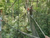 Taman Negara, Canopy Walk