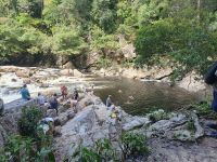Taman Negara, Schwimmen bei Kaskaden von Lata Berkoh