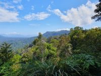 Taman Negara, Teresek Hill, Blick auf Gunung Tahan